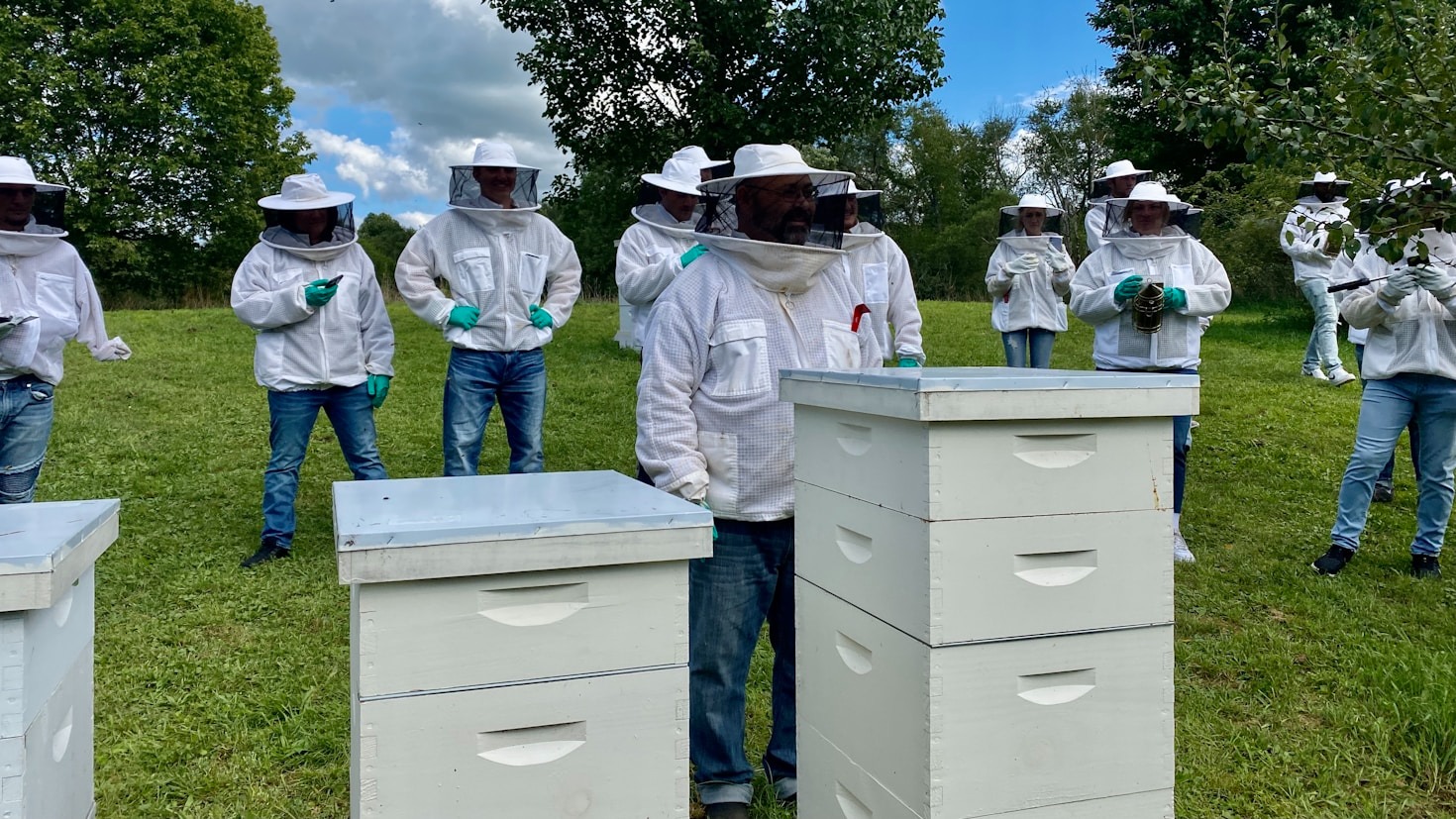 How to Maintain Healthy Hives Year-Round